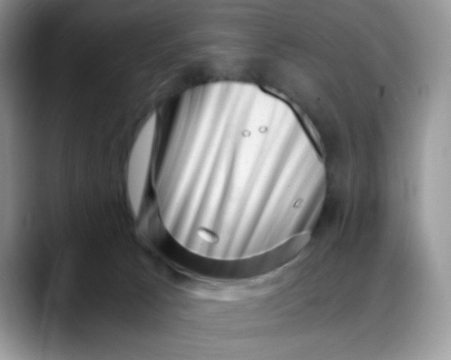 X0000088440033200706121517