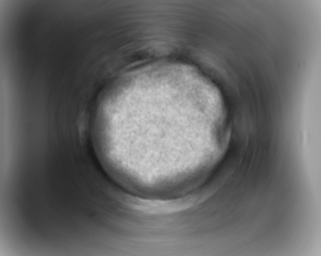X0000088440034200706121517