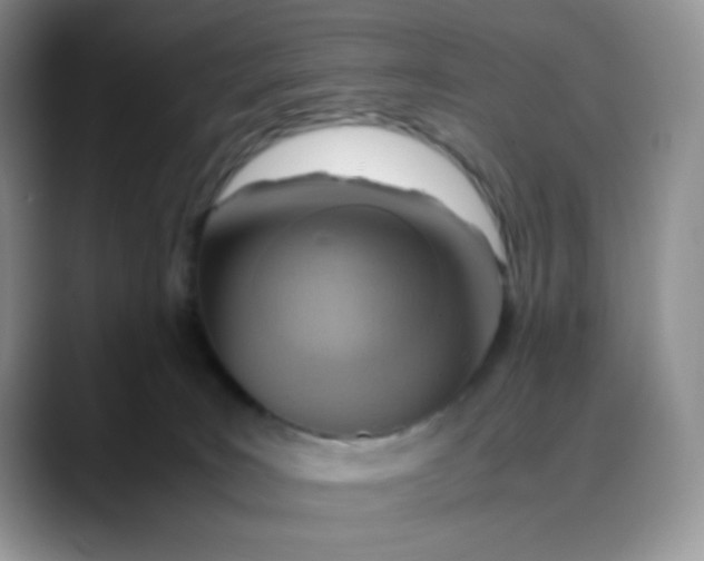 X0000088440035200706121517