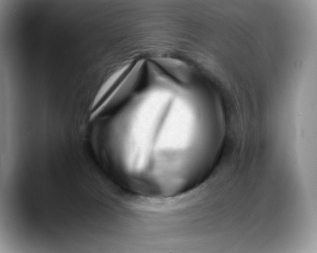 X0000088440037200706121517