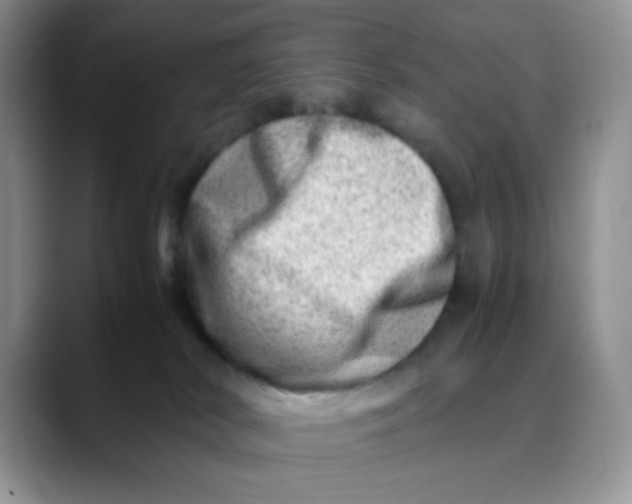 X0000088440038200706121517
