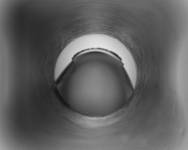 X0000088440039200706121517