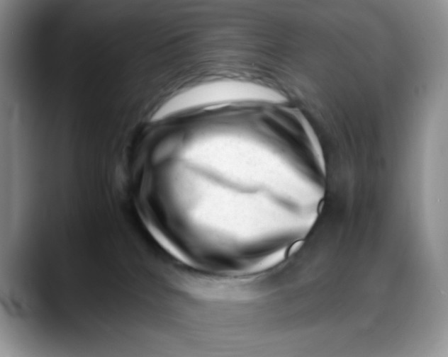 X0000088440040200706121517