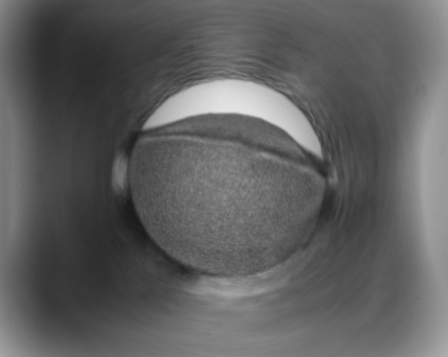 X0000088440041200706121517