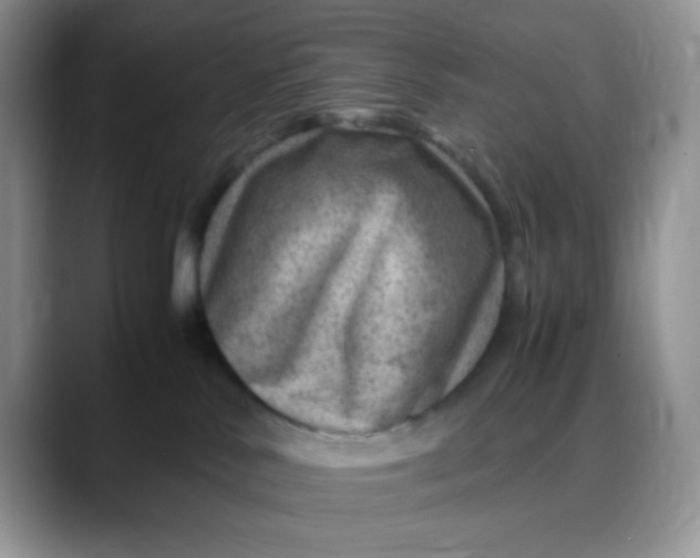 X0000088440042200706121517