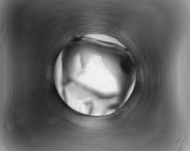 X0000088440044200706121517