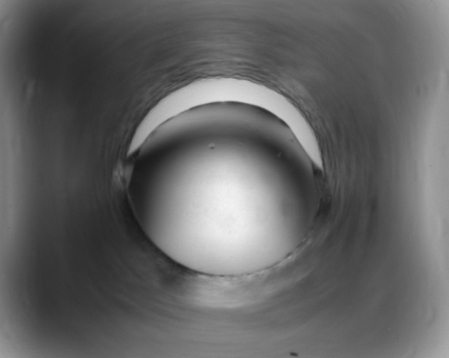 X0000088440045200706121517