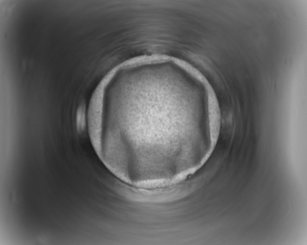 X0000088440046200706121517