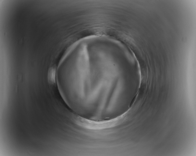 X0000088440047200706121517