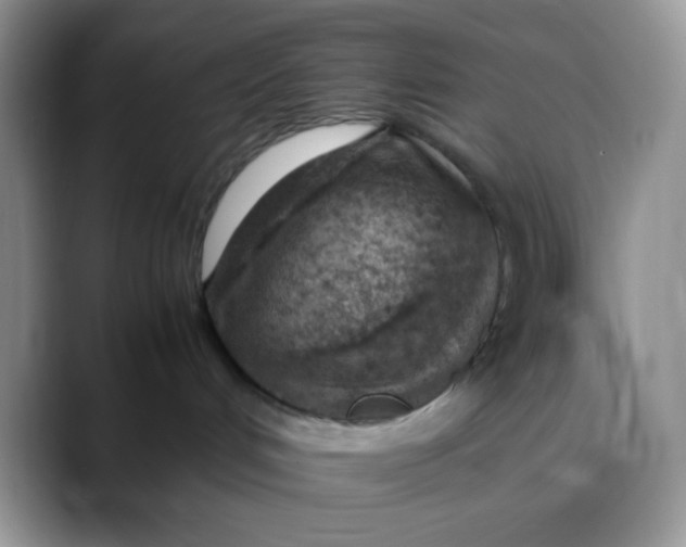 X0000088440048200706121517