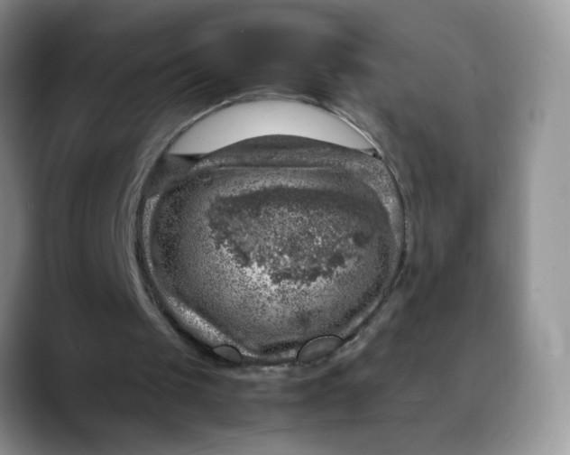 X0000088440049200706121516