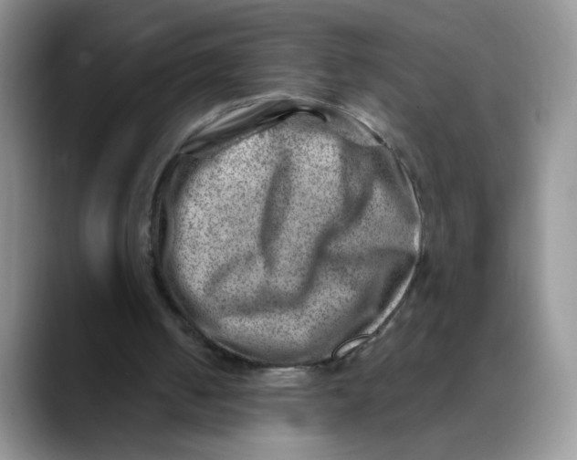 X0000088440050200706121516