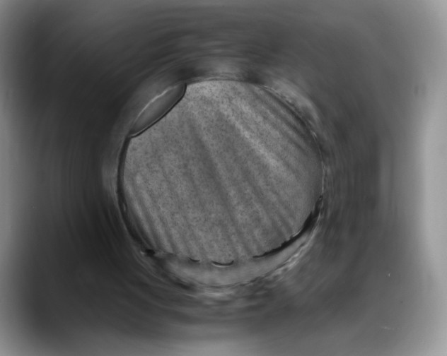 X0000088440051200706121516