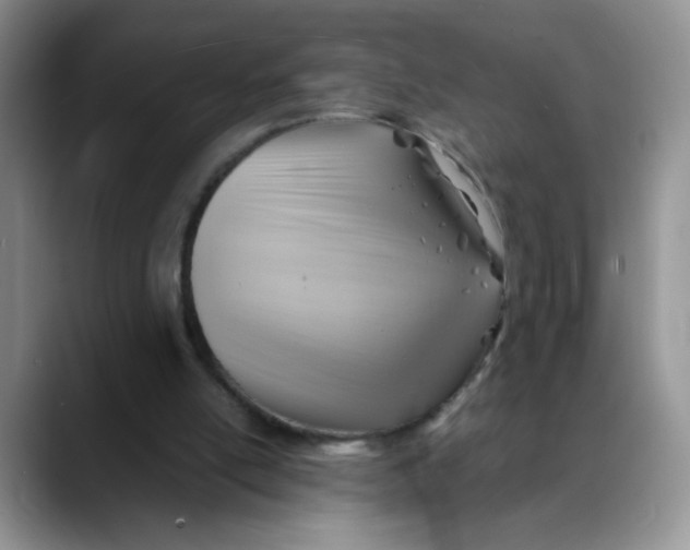 X0000088440054200706121516