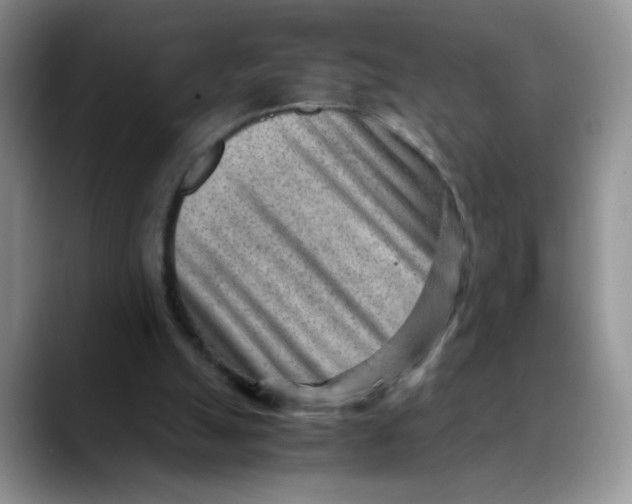 X0000088440055200706121516