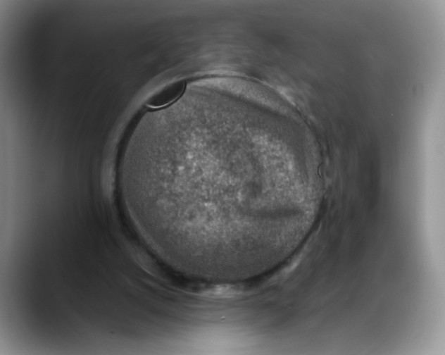 X0000088440056200706121516