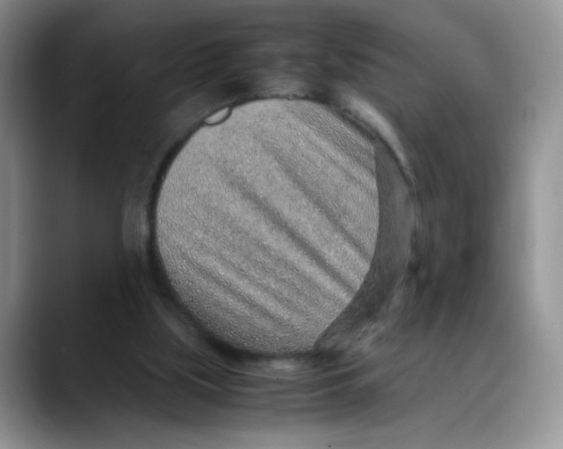 X0000088440059200706121516