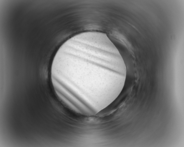 X0000088440060200706121516