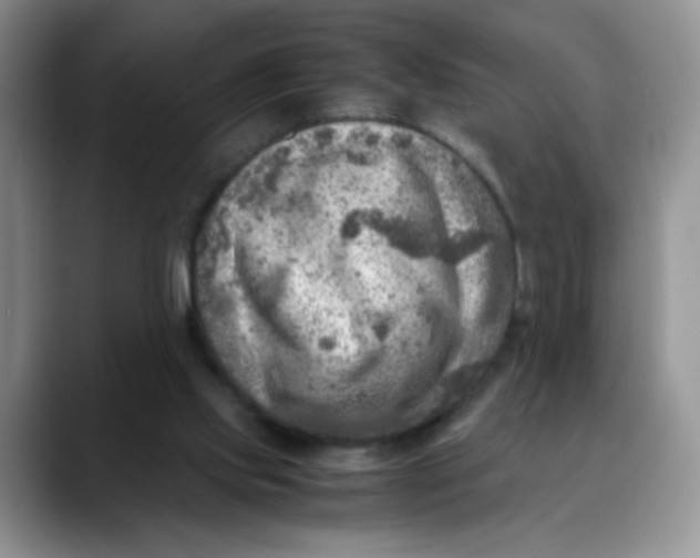 X0000088440061200706121516