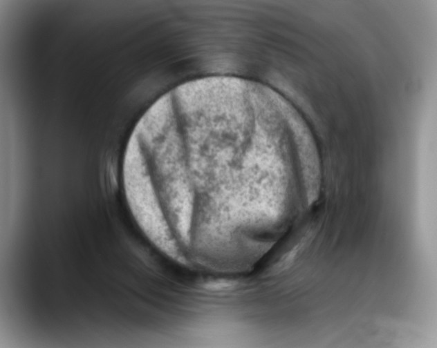 X0000088440062200706121516
