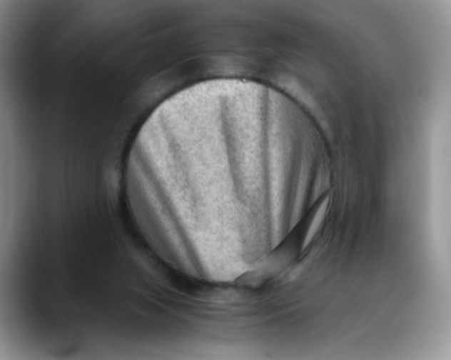 X0000088440063200706121516