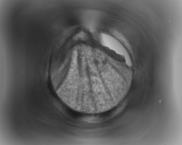 X0000088440065200706121516