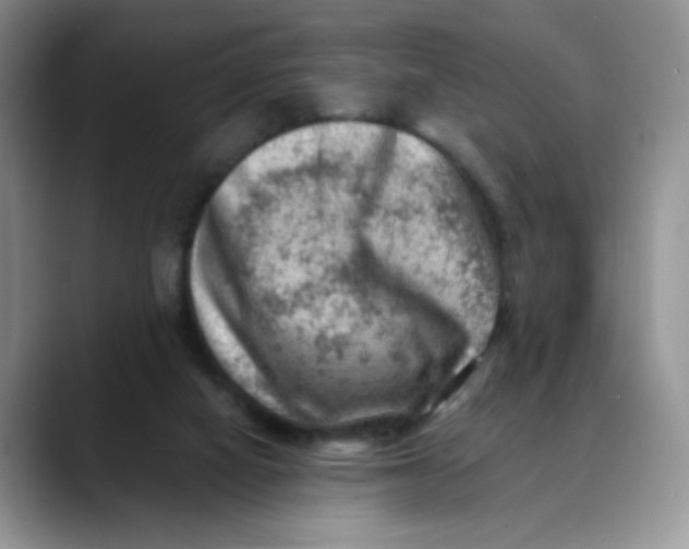 X0000088440066200706121516