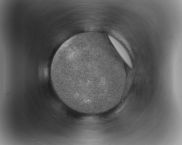 X0000088440067200706121516