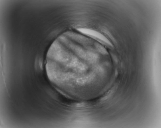 X0000088440068200706121516