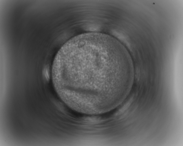 X0000088440069200706121516
