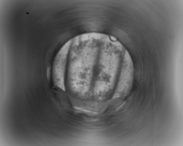 X0000088440070200706121516