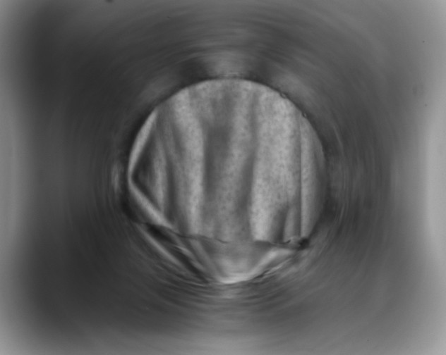 X0000088440071200706121516