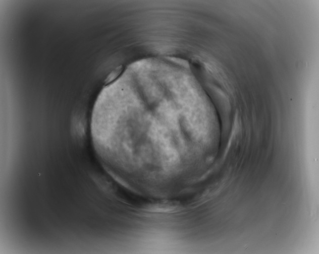 X0000088440072200706121516