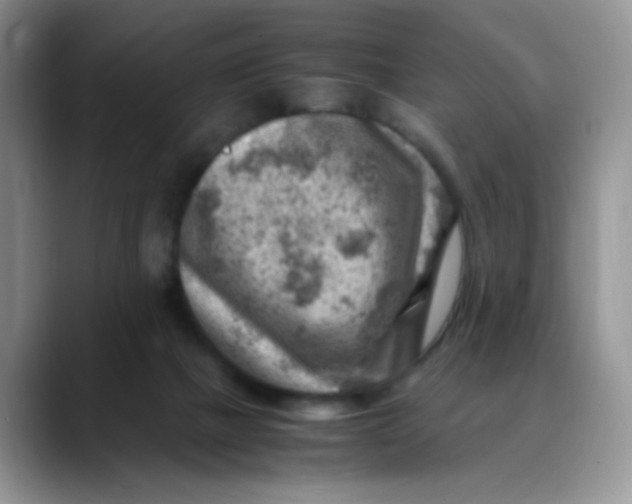X0000088440073200706121516