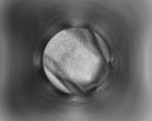 X0000088440074200706121516