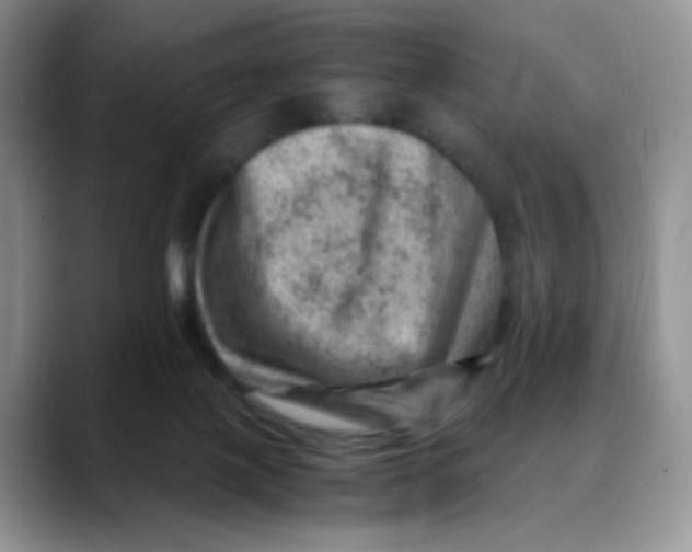 X0000088440075200706121516