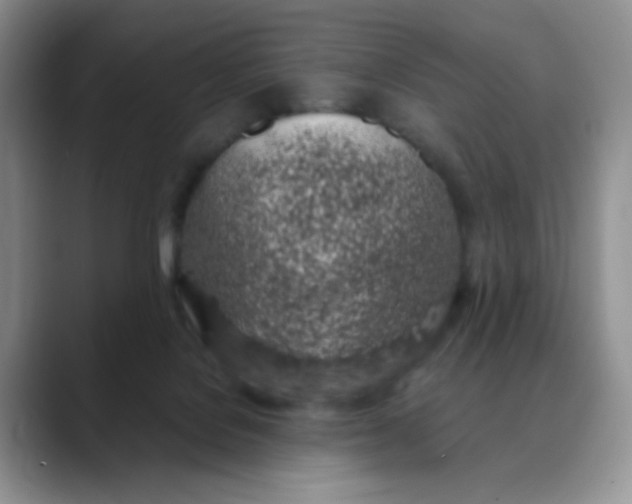 X0000088440076200706121516