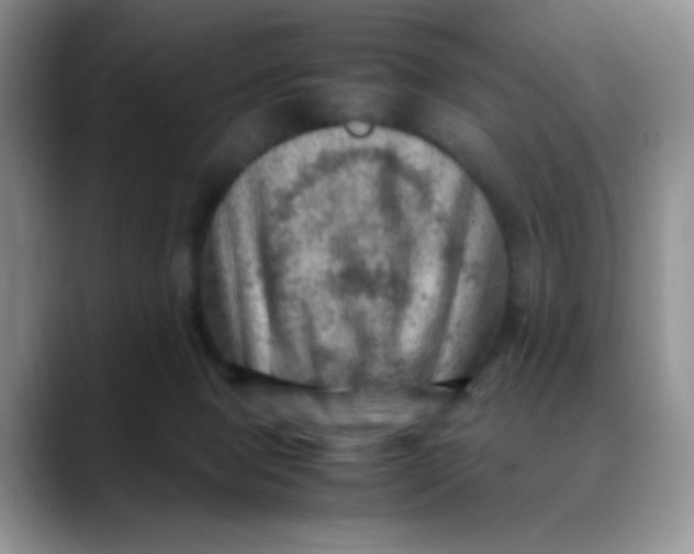 X0000088440077200706121516