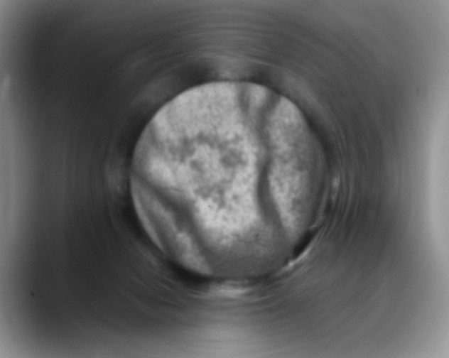 X0000088440078200706121516