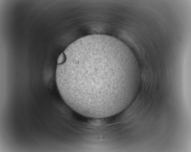 X0000088440079200706121516