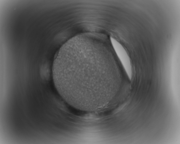 X0000088440080200706121516