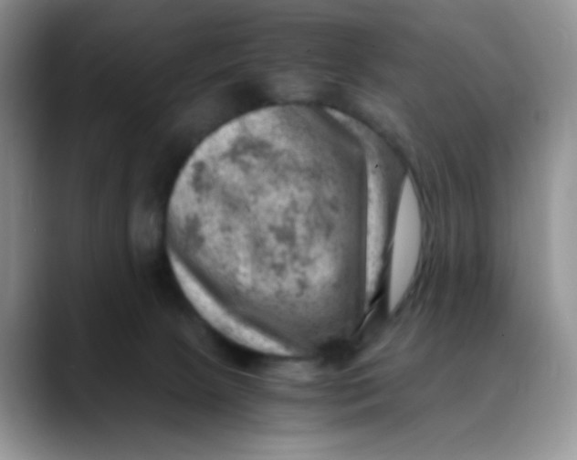 X0000088440081200706121516