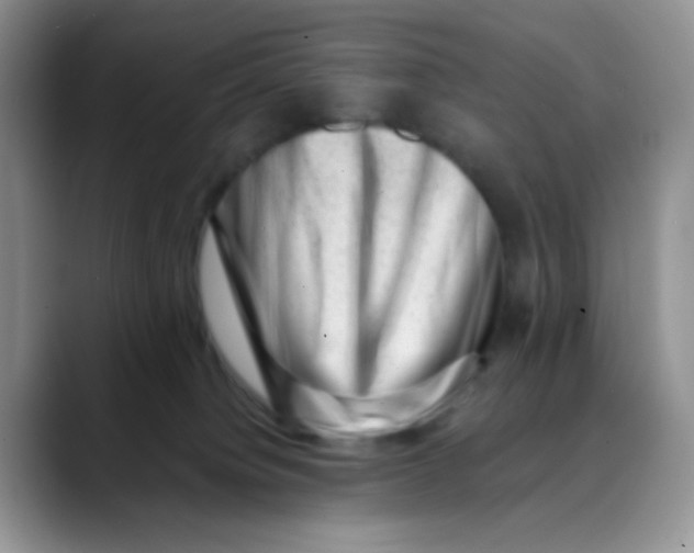 X0000088440084200706121516