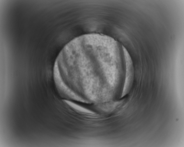 X0000088440085200706121516