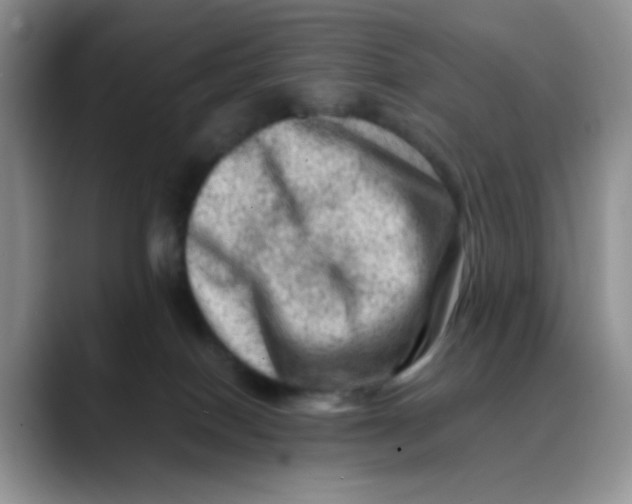 X0000088440086200706121516