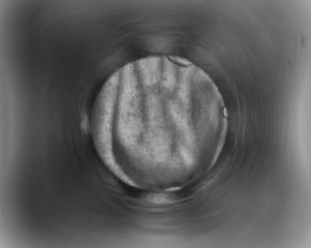 X0000088440089200706121517
