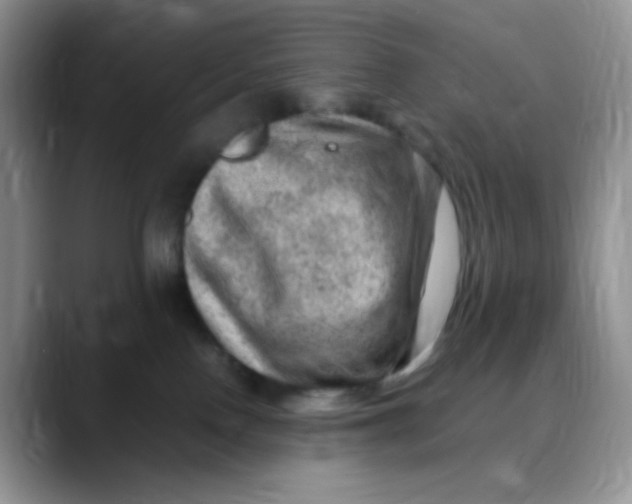 X0000088440090200706121517
