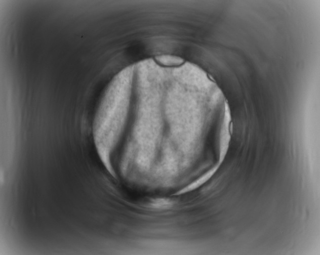 X0000088440091200706121517