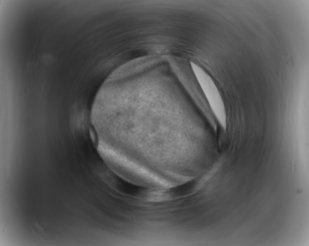X0000088440093200706121517