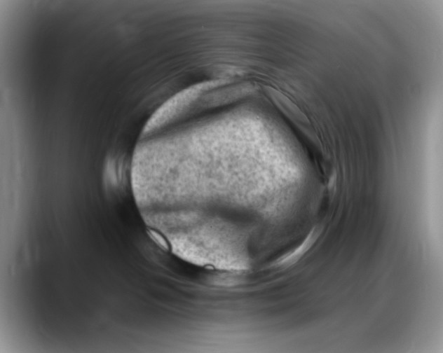 X0000088440094200706121517